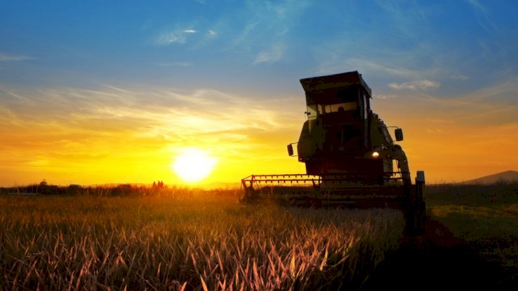 Ciclo de palestras aborda inovações no agronegócio em Piracicaba